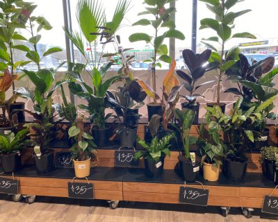 retail-flower-display